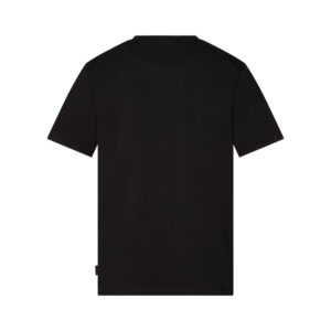 Alternative view of DASSY® CORE