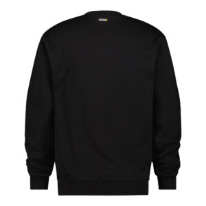 Alternative view of DASSY® Lionel